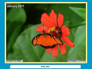 Tortuguero the Village Lior Almagor 17 01 2011