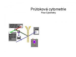 Prtokov cytometrie Flow Cytometry PRTOKOV CYTOMETRIE fluorescenn metoda