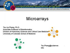 Microarrays Tzu Lawrence Lip Phang Ph D Hunter