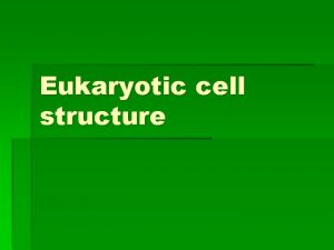 Eukaryotic cell structure The Cell factory Organelles Highly