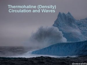 Thermohaline Density Circulation and Waves Specific Heat Capacity