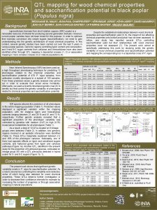 QTL mapping for wood chemical properties and saccharification