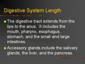 Digestive System Length The digestive tract extends from