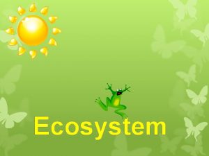 Ecosystem Dynamics of Ecosystem The various components of