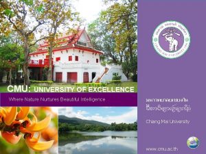 CMU UNIVERSITY OF EXCELLENCE Where Nature Nurtures Beautiful