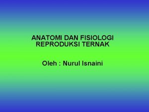 ANATOMI DAN FISIOLOGI REPRODUKSI TERNAK Oleh Nurul Isnaini