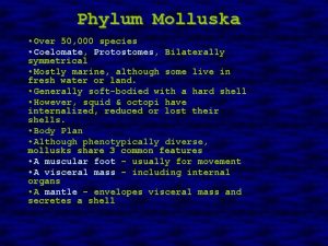 Phylum Molluska Over 50 000 species Coelomate Protostomes