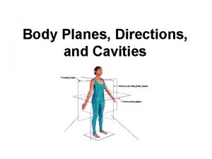 Body Planes Directions and Cavities OK sooooo How