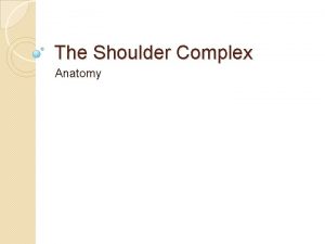 The Shoulder Complex Anatomy Joint type Ball and