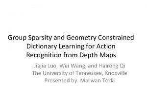 Group Sparsity and Geometry Constrained Dictionary Learning for