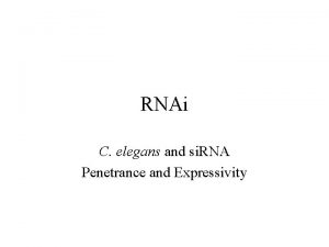 RNAi C elegans and si RNA Penetrance and