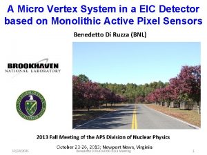 A Micro Vertex System in a EIC Detector
