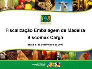 Fiscalizao Embalagem de Madeira Siscomex Carga Braslia 10