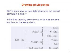 Drawing phylogenies Weve seen several tree data structures