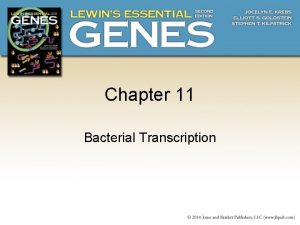 Chapter 11 Bacterial Transcription 11 1 Introduction Transcription