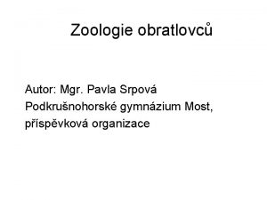 Zoologie obratlovc Autor Mgr Pavla Srpov Podkrunohorsk gymnzium