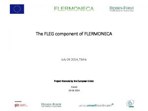 The FLEG component of FLERMONECA July 09 2014