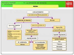 Biologa y Geologa 1 Bachillerato 11 La utilizacin