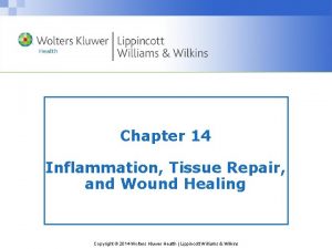 Chapter 14 Inflammation Tissue Repair and Wound Healing