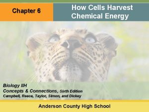 Chapter 6 How Cells Harvest Chemical Energy Biology