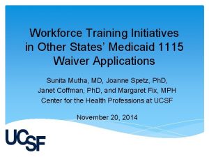 Workforce Training Initiatives in Other States Medicaid 1115