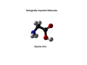 Biologically Important Molecules Glycine AA I Water A