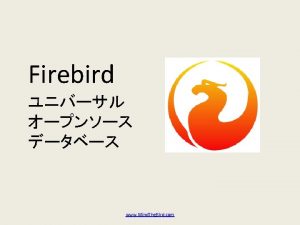 Firebird 10 Firebird 2 5 Firebird 2 1