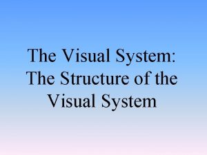 The Visual System The Structure of the Visual