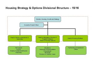 Housing Strategy Options Divisional Structure 1516 Director Housing