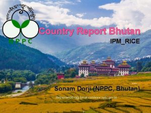 Country Report Bhutan IPMRICE Sonam Dorji NPPC Bhutan