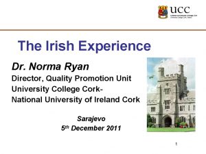 The Irish Experience Dr Norma Ryan Director Quality