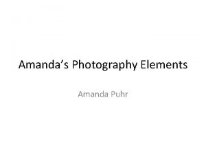 Amandas Photography Elements Amanda Puhr Line The lines