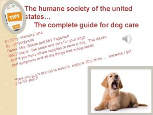 The humane society of the united states The