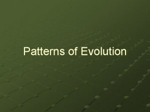 Patterns of Evolution Macroevolution Evolutionary patterns and processes