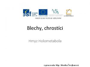 Blechy chrostci Hmyz Holometabola vypracovala Mgr Monika trejbarov