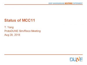 Status of MCC 11 T Yang Proto DUNE