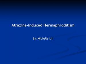 AtrazineInduced Hermaphroditism By Michelle Lin What is Atrazine