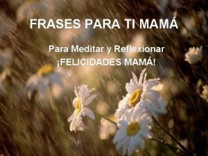 FRASES PARA TI MAM Para Meditar y Reflexionar