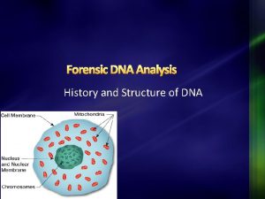 Forensic DNA Analysis History and Structure of DNA