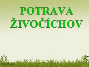 POTRAVA IVOCHOV 13 12 2021 23 32 MOTIVCIA