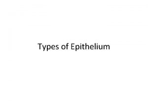 Types of Epithelium Classification of Epithelia All epithelial