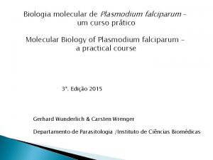 Biologia molecular de Plasmodium falciparum um curso prtico