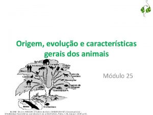 Origem evoluo e caractersticas gerais dos animais Mdulo