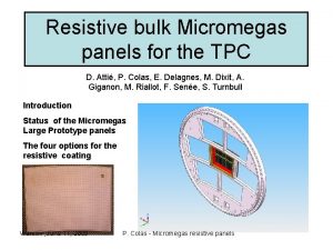 Resistive bulk Micromegas panels for the TPC D