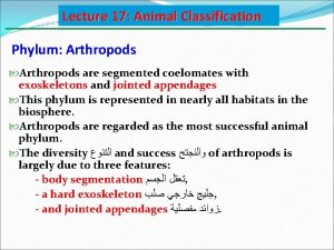 Lecture 17 Animal Classification Phylum Arthropods are segmented