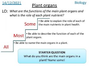 14122021 LO Plant organs What are the functions