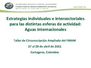 Estrategias individuales e intersectoriales para las distintas esferas