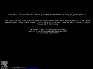 Inhibition of inducible nitric oxide synthase ameliorates rat