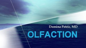 Domina Petric MD OLFACTION Olfactory pathway Olfaction begins