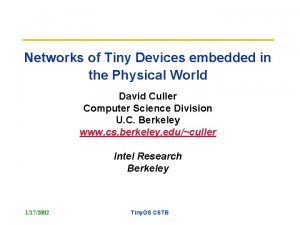 Networks of Tiny Devices embedded in the Physical